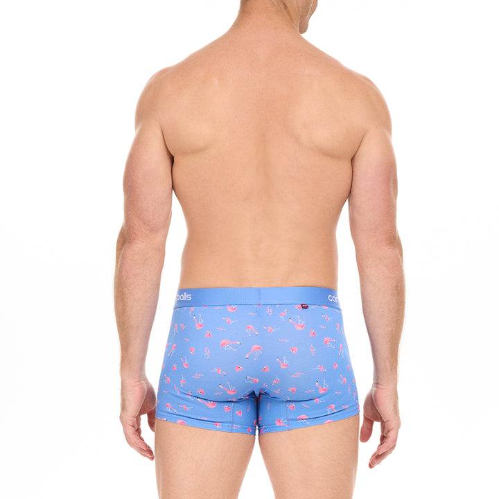 Blue Flamingo Cotton - Comfyballs.is